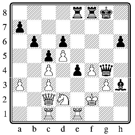 chess030511.JPG