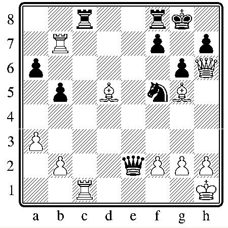 chess061009.JPG
