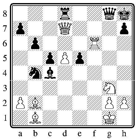 chess110111.JPG