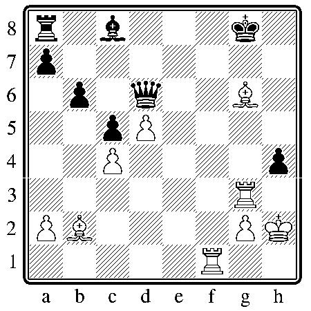 chess120110.JPG chess120110.JPG