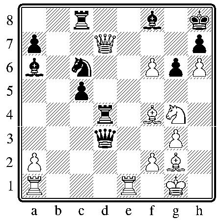 chess130710.JPG
