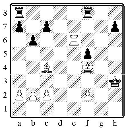 chess131112.JPG
