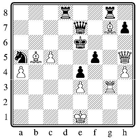 chess131211.JPG
