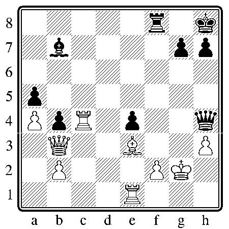 chess150610.JPG