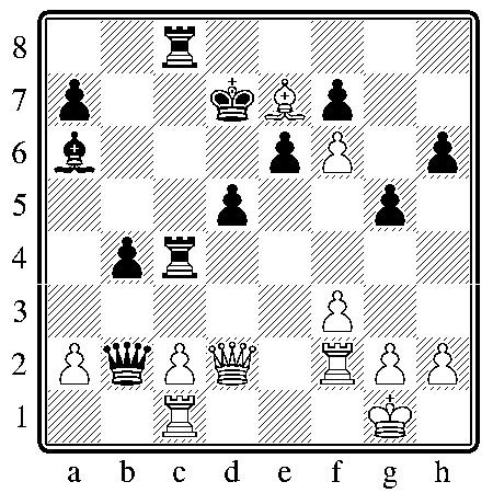 chess170511.JPG