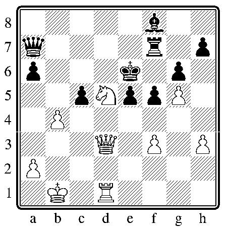 chess271211.JPG