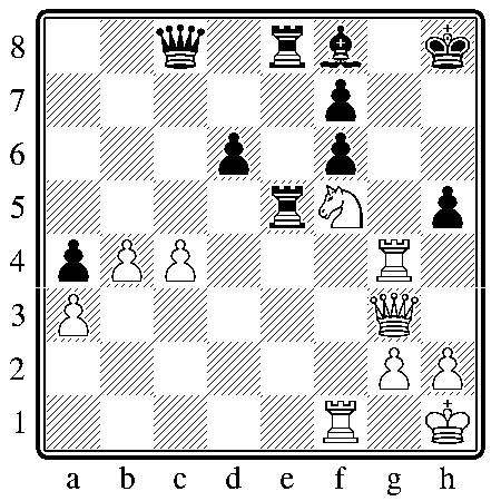 chess280611.JPG