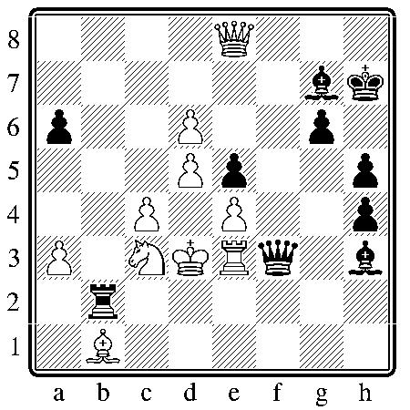 chess300609.JPG