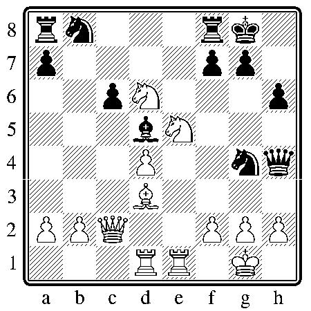 chess301110.JPG